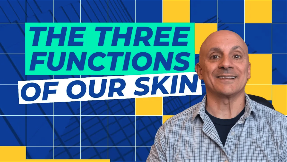 The Three Functions of Our Skin | Chiropractor for Skin Issues in Woodstock, GA