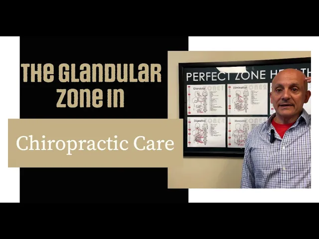 The Glandular Zone in Chiropractic Care Zone Technique Chiropractor Near Me Woodstock, GA